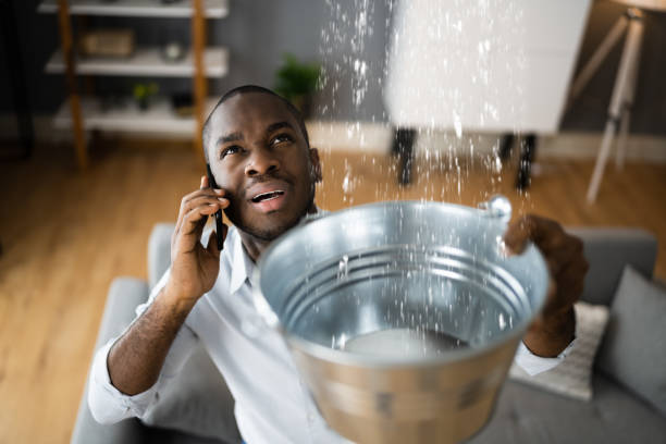 Best Water damage mitigation services  in Palmetto Bay, FL