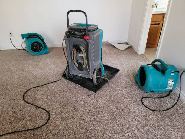 Best Carpet water damage restoration  in Palmetto Bay, FL