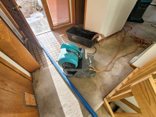 Best Fire Damage Restoration  in Palmetto Bay, FL