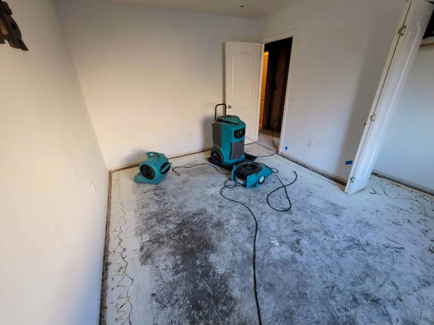 Best Water damage restoration services  in Palmetto Bay, FL