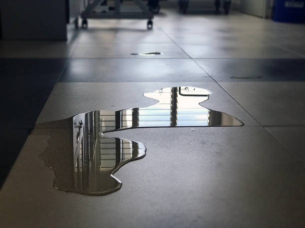 24/7 water damage repair in FL