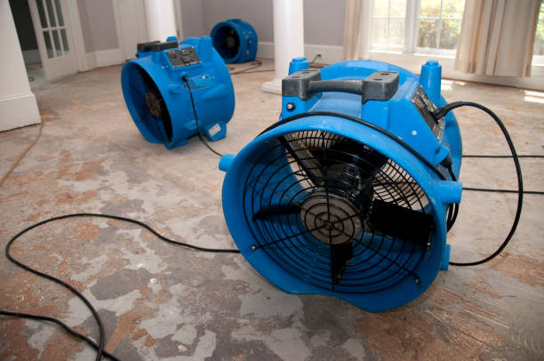 Carpet water damage restoration in FL