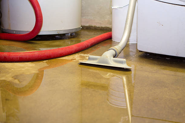 Best Residential water damage restoration  in Palmetto Bay, FL
