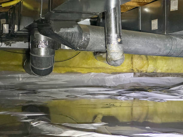 Best Water damage restoration near me  in Palmetto Bay, FL