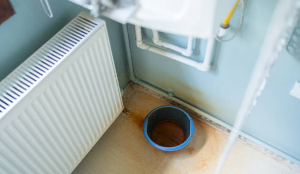 Best Flooded house restoration  in Palmetto Bay, FL