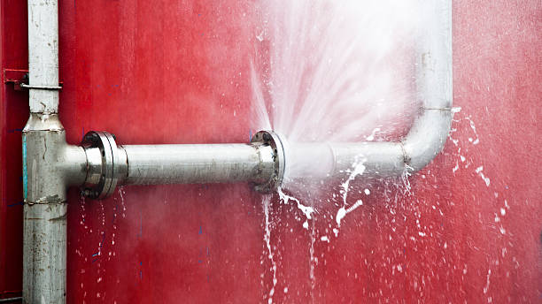 Best 24-hour water damage restoration  in Palmetto Bay, FL